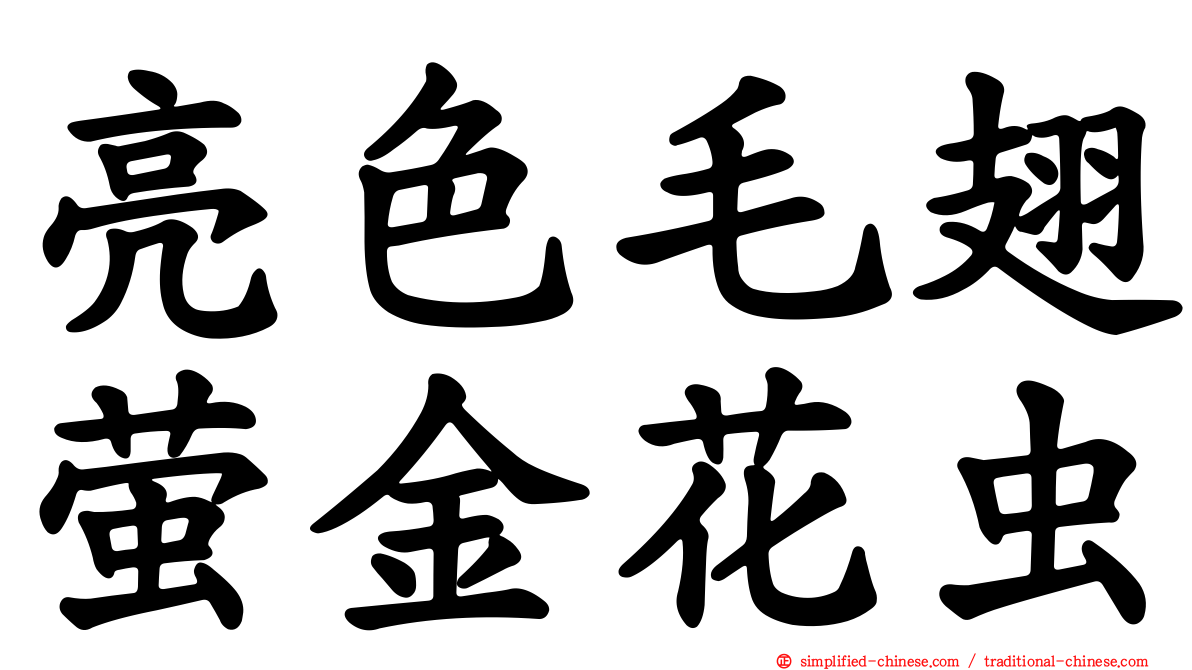 亮色毛翅萤金花虫