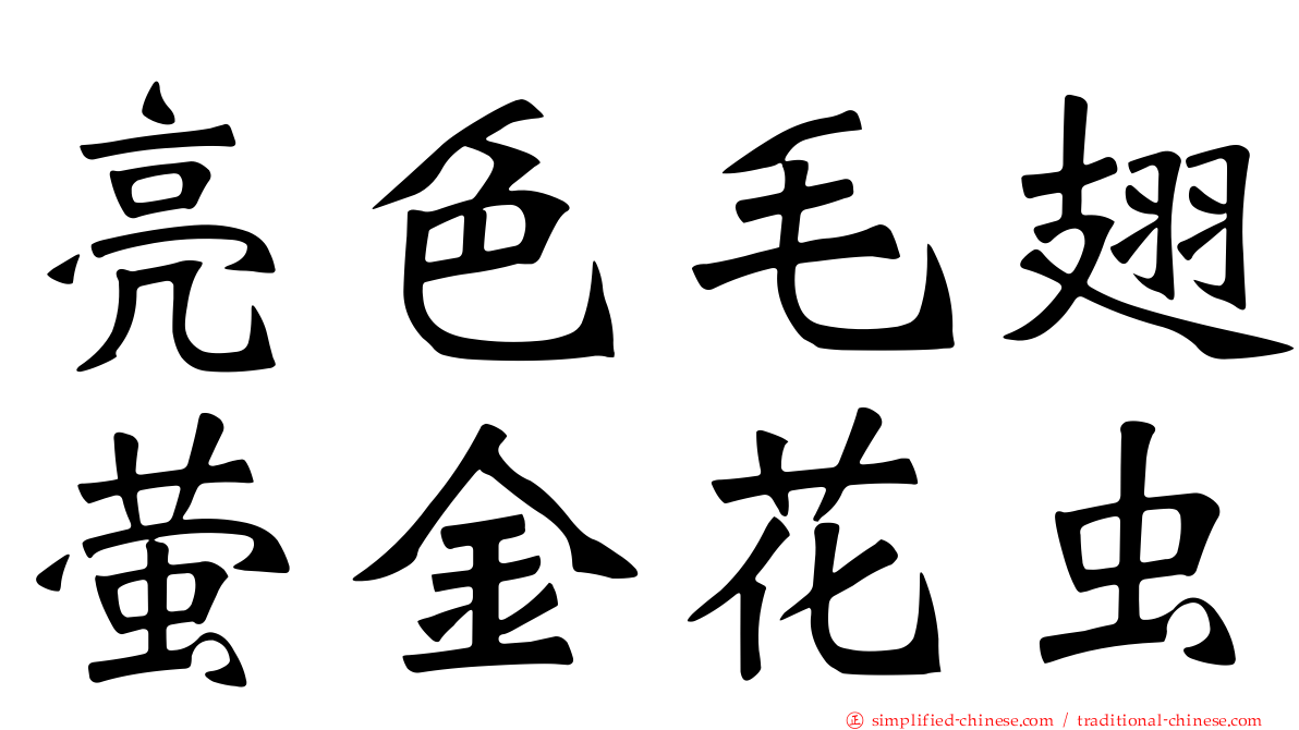 亮色毛翅萤金花虫