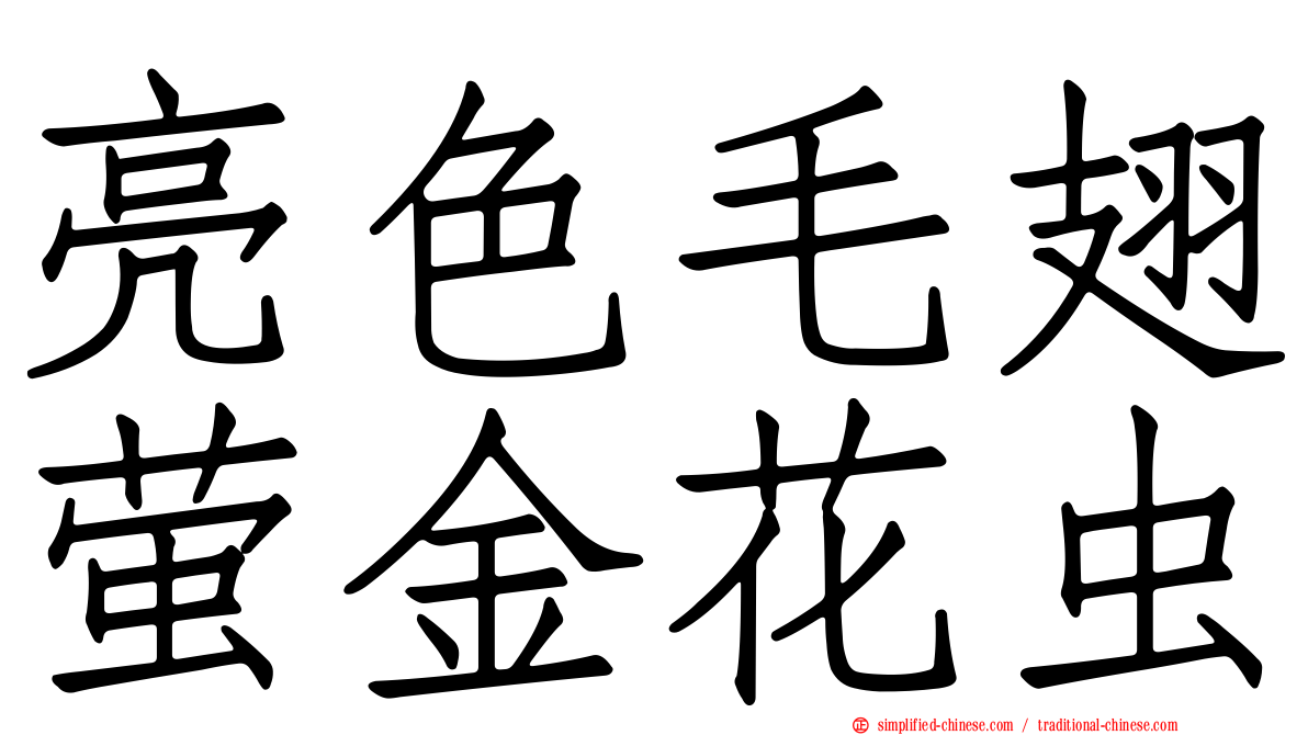 亮色毛翅萤金花虫