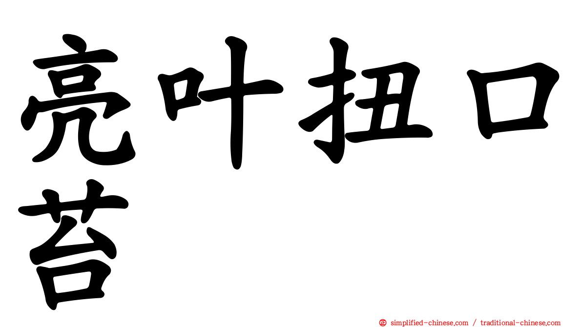 亮叶扭口苔