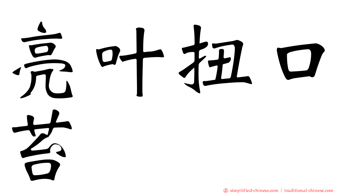 亮叶扭口苔