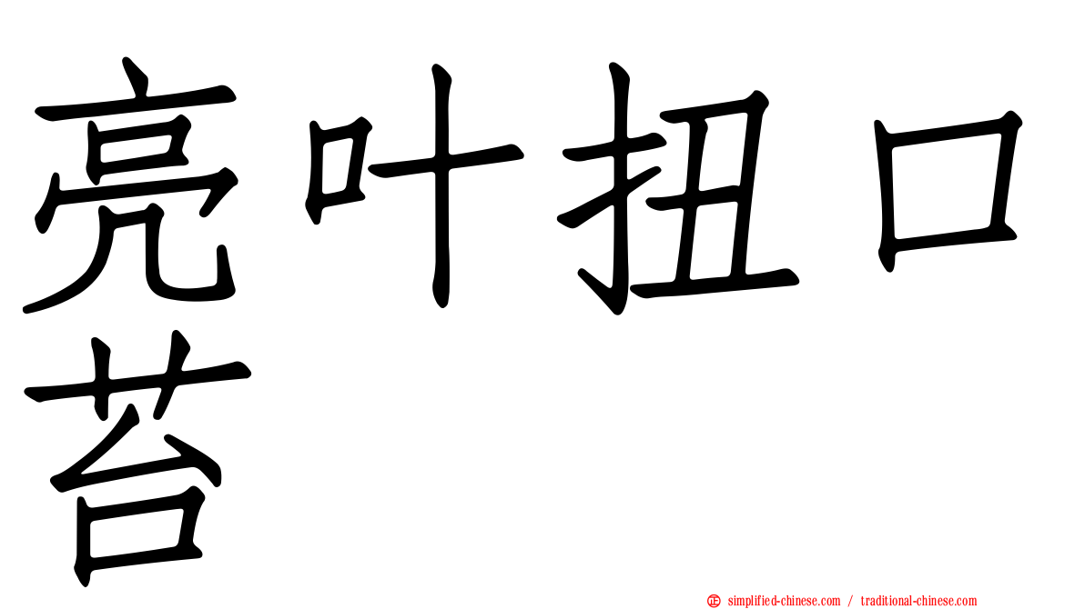 亮叶扭口苔