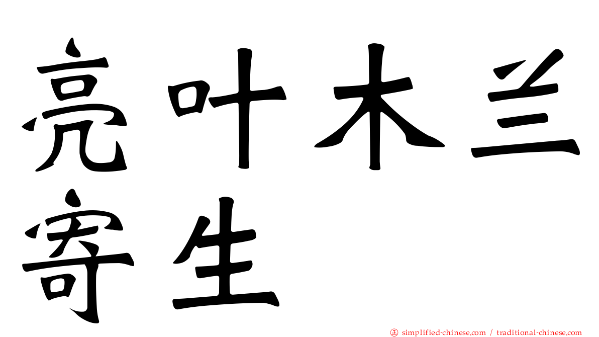 亮叶木兰寄生