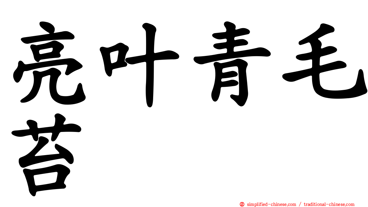 亮叶青毛苔