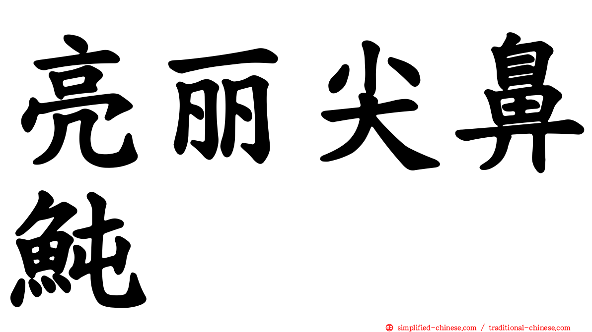 亮丽尖鼻鲀