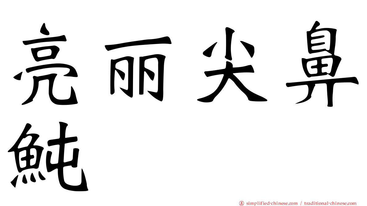 亮丽尖鼻鲀