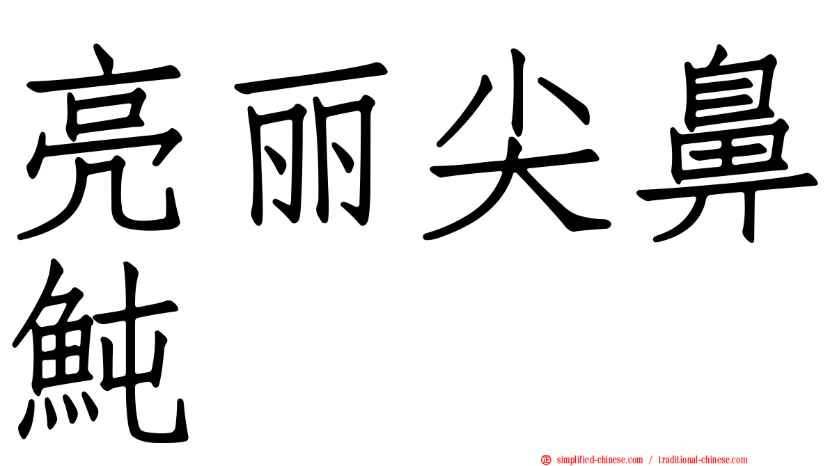 亮丽尖鼻鲀