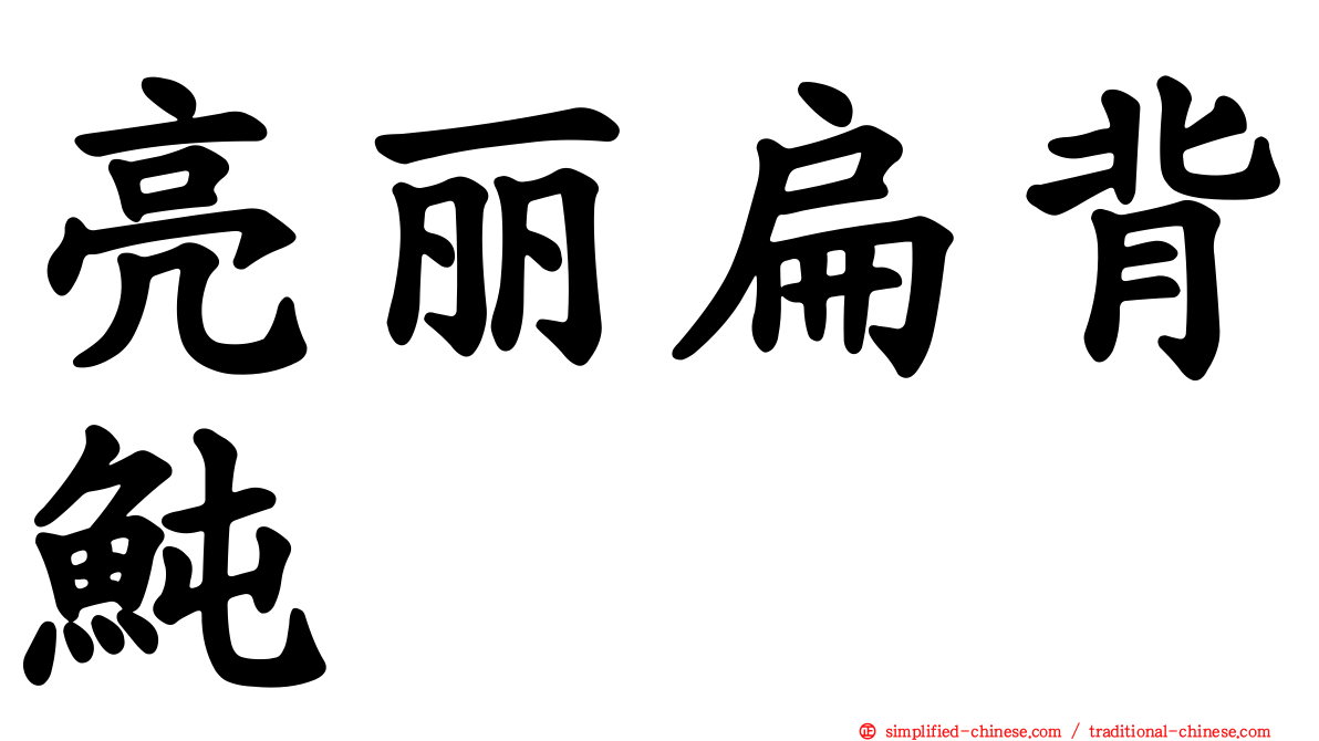 亮丽扁背鲀