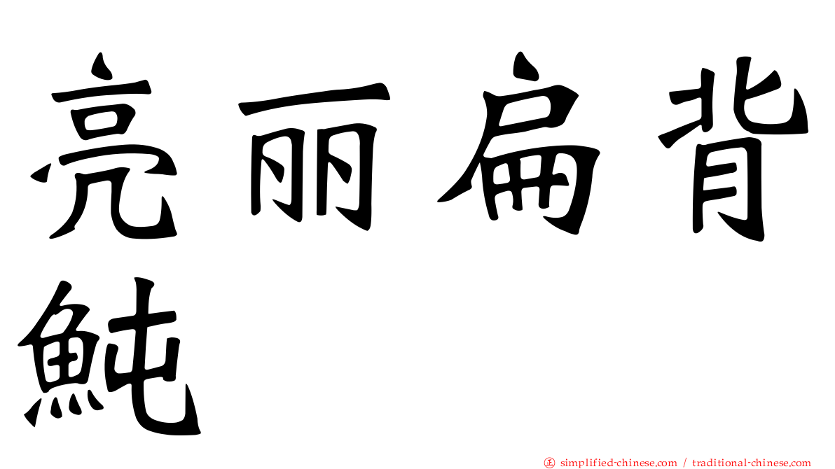 亮丽扁背鲀