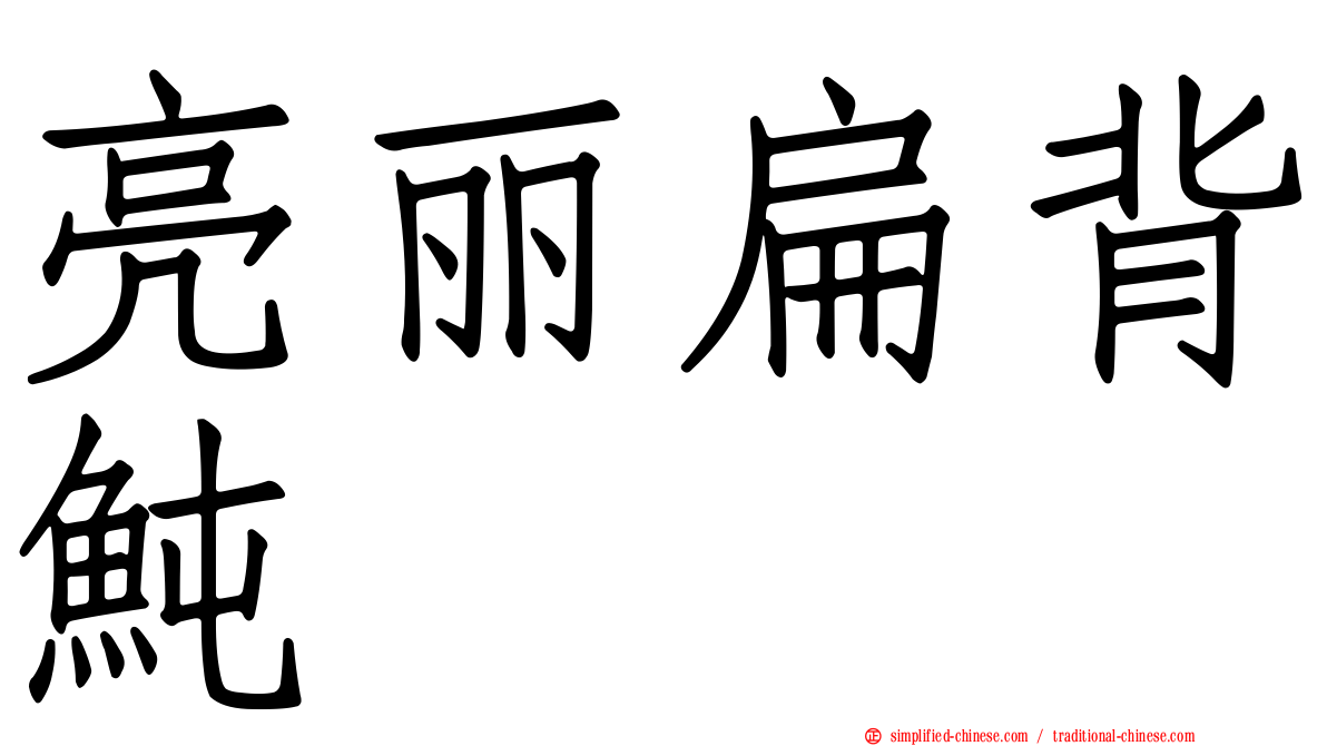 亮丽扁背鲀