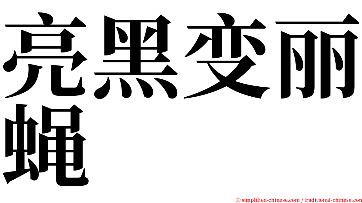 亮黑变丽蝇 serif font