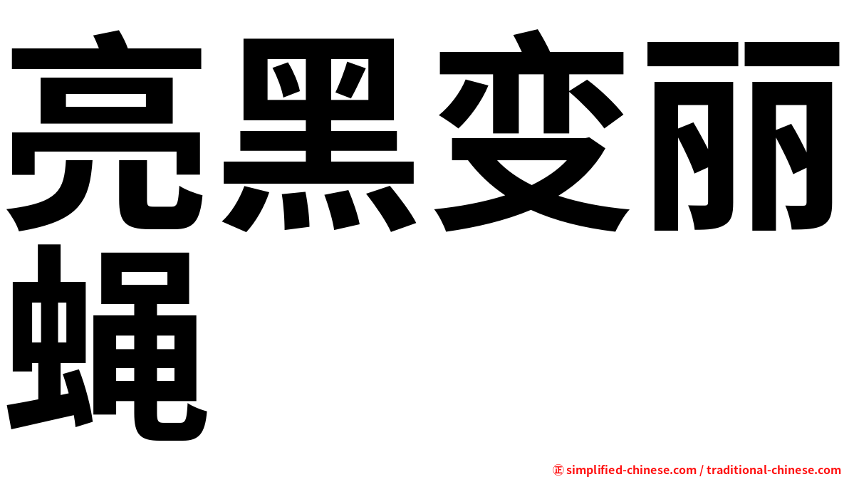 亮黑变丽蝇