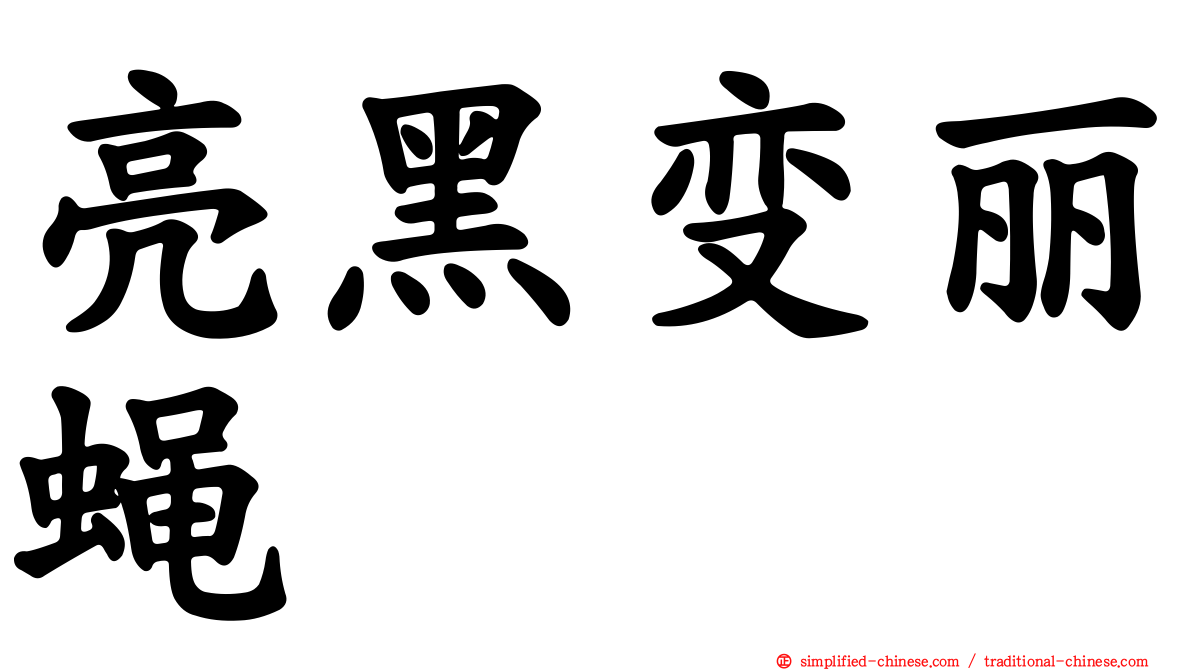 亮黑变丽蝇