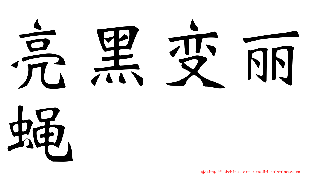 亮黑变丽蝇