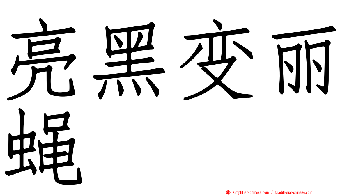 亮黑变丽蝇