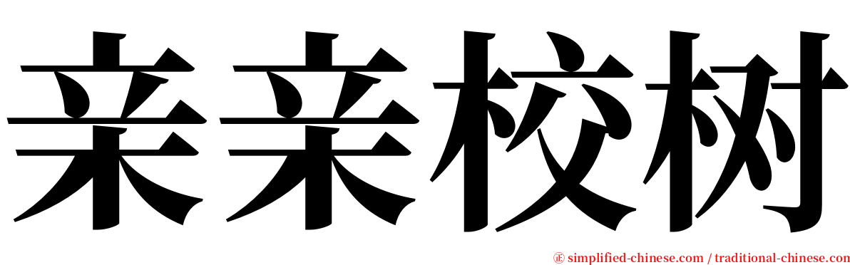 亲亲校树 serif font