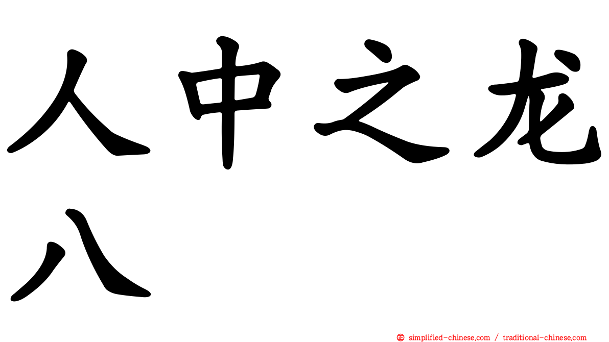 人中之龙八