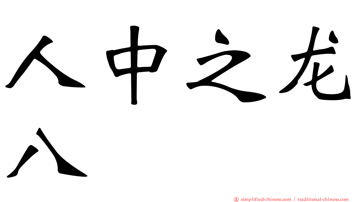 人中之龙八