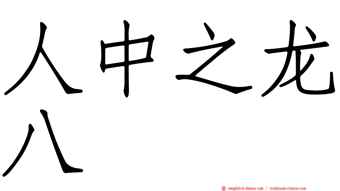 人中之龙八