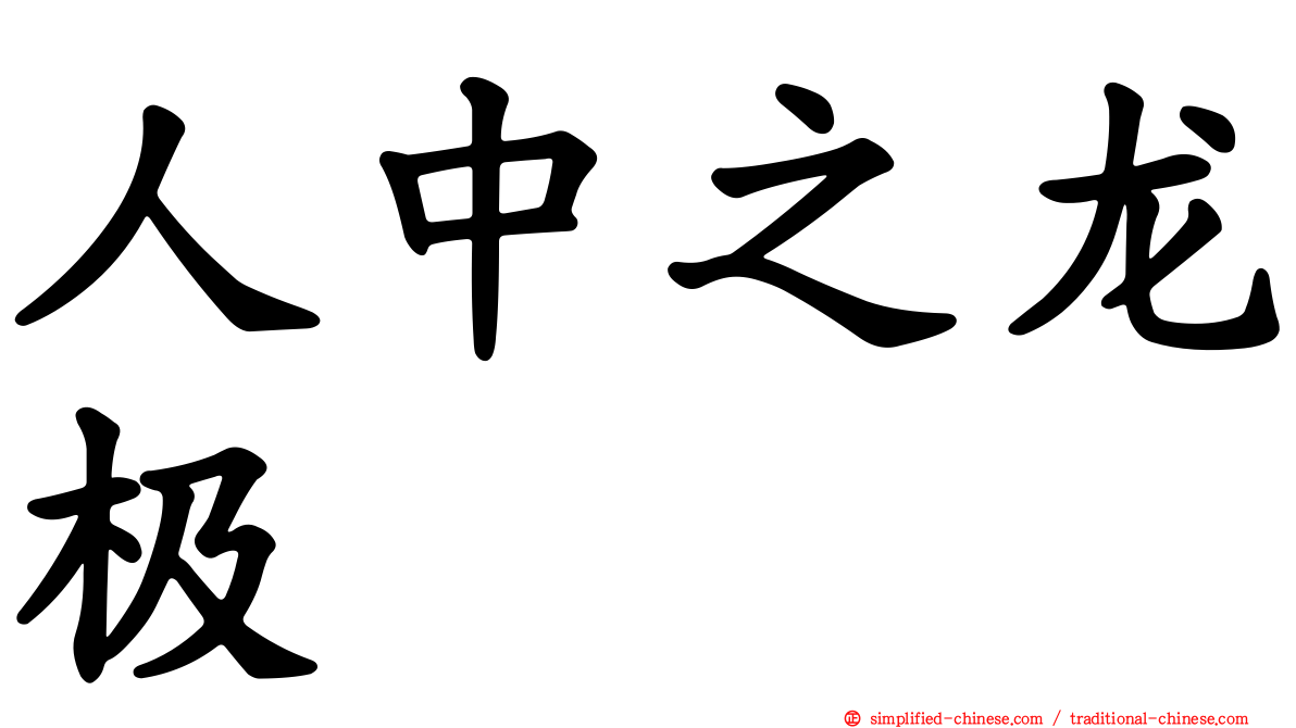 人中之龙极