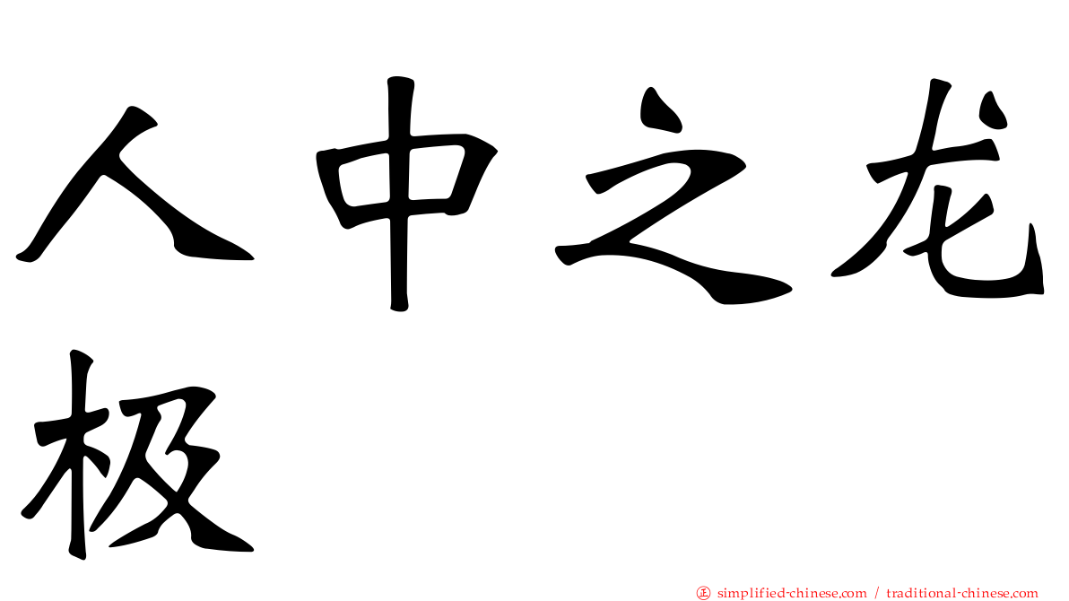 人中之龙极
