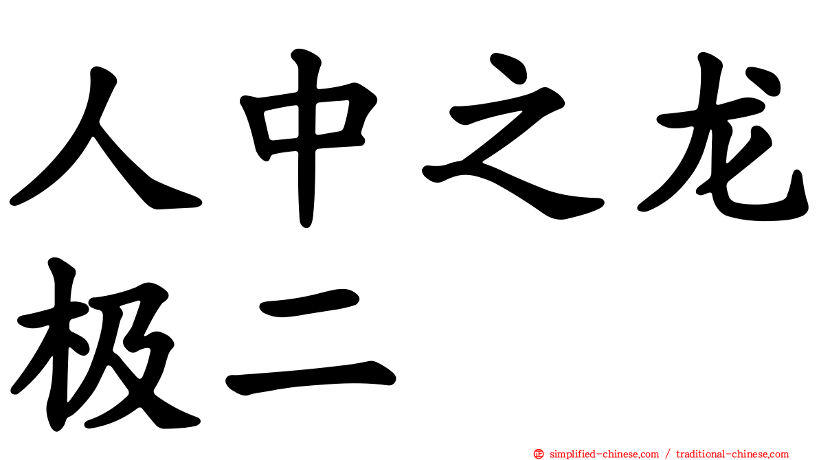 人中之龙极二