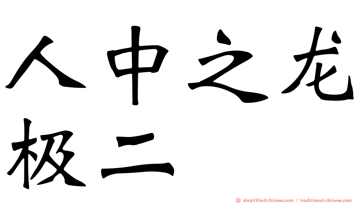 人中之龙极二