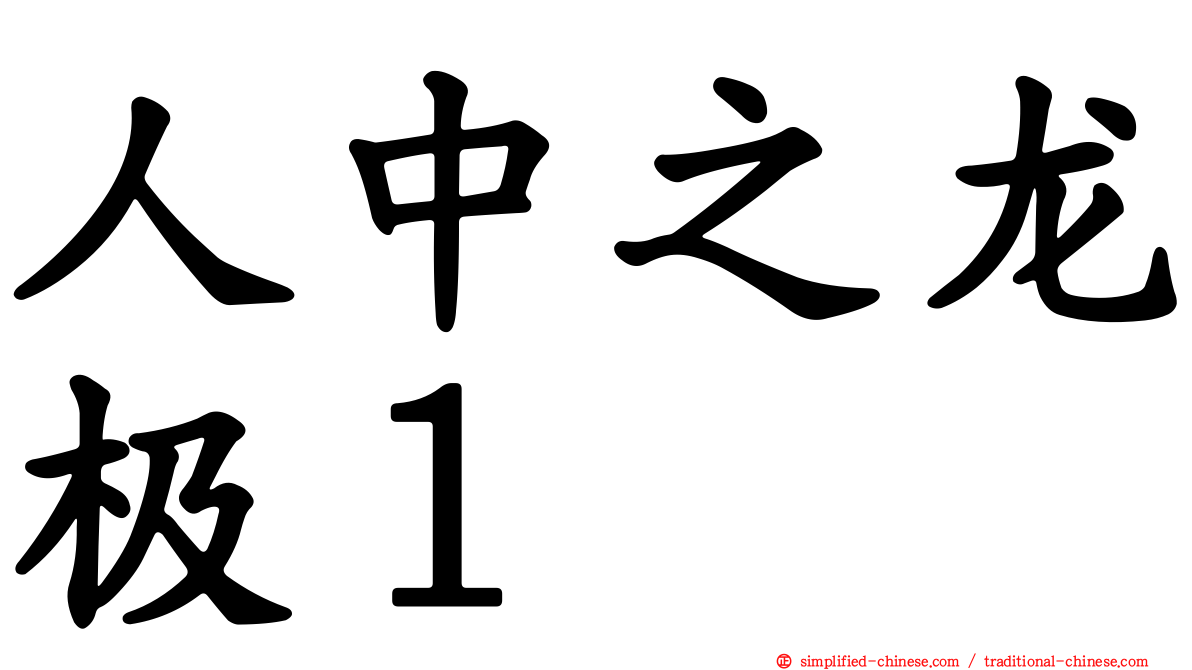 人中之龙极１