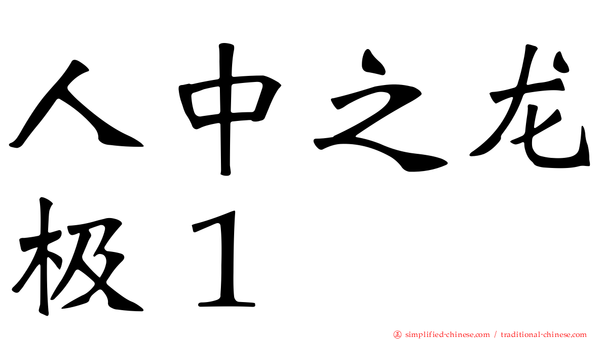 人中之龙极１