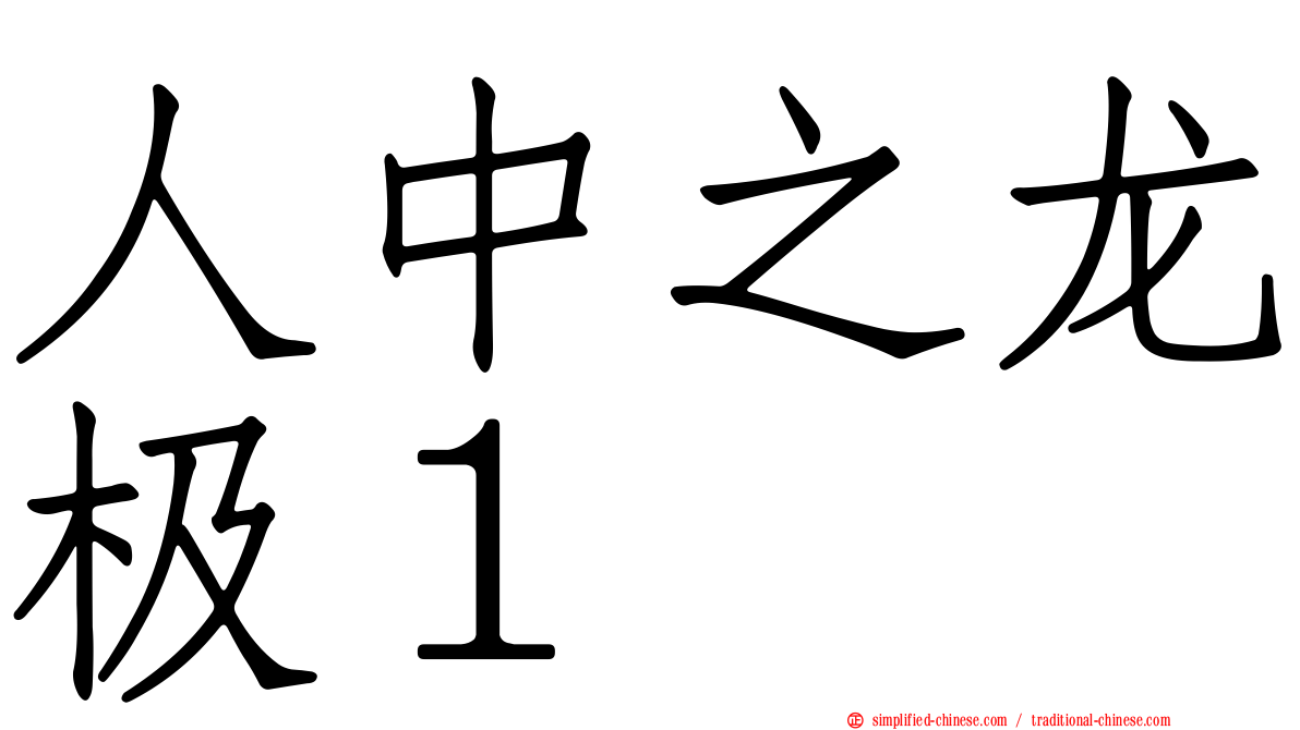 人中之龙极１