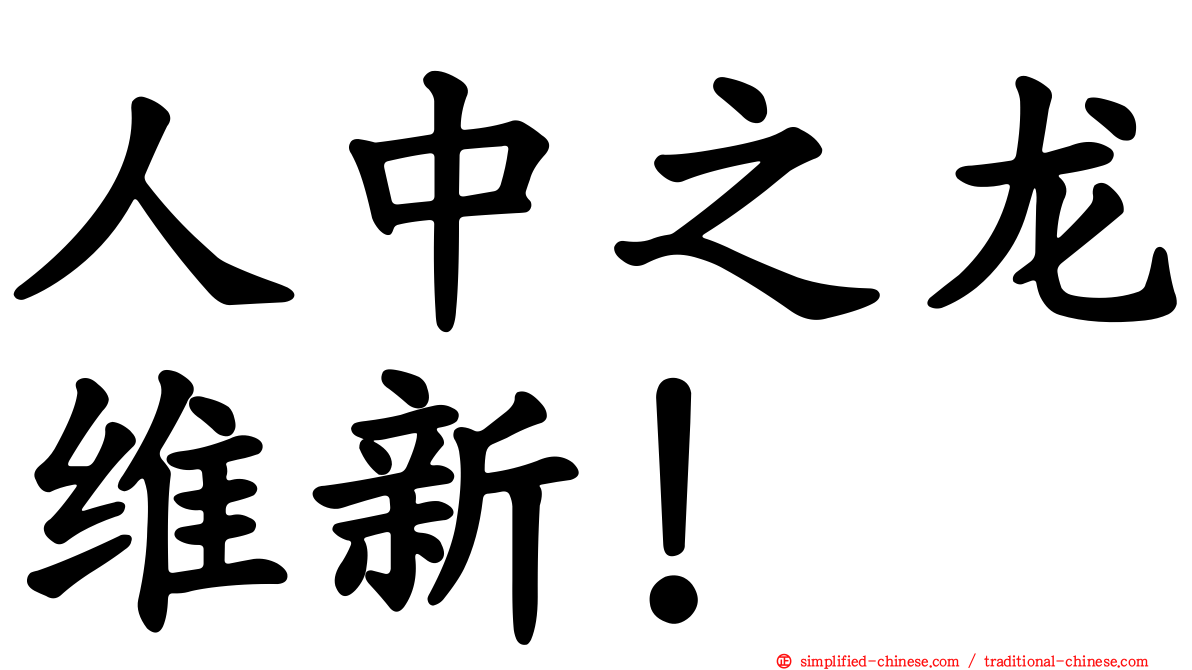人中之龙维新！