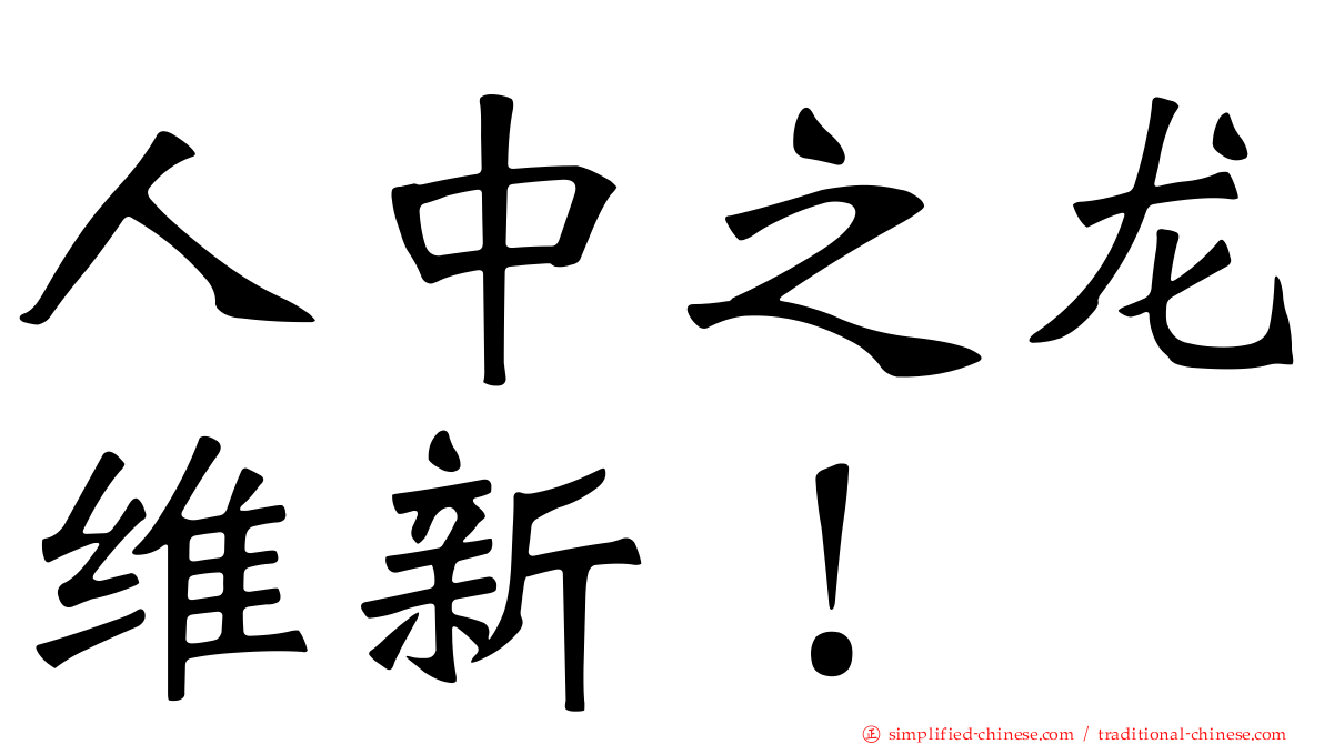 人中之龙维新！