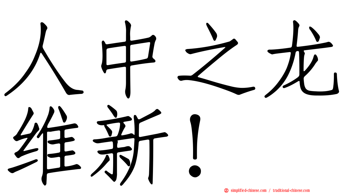人中之龙维新！
