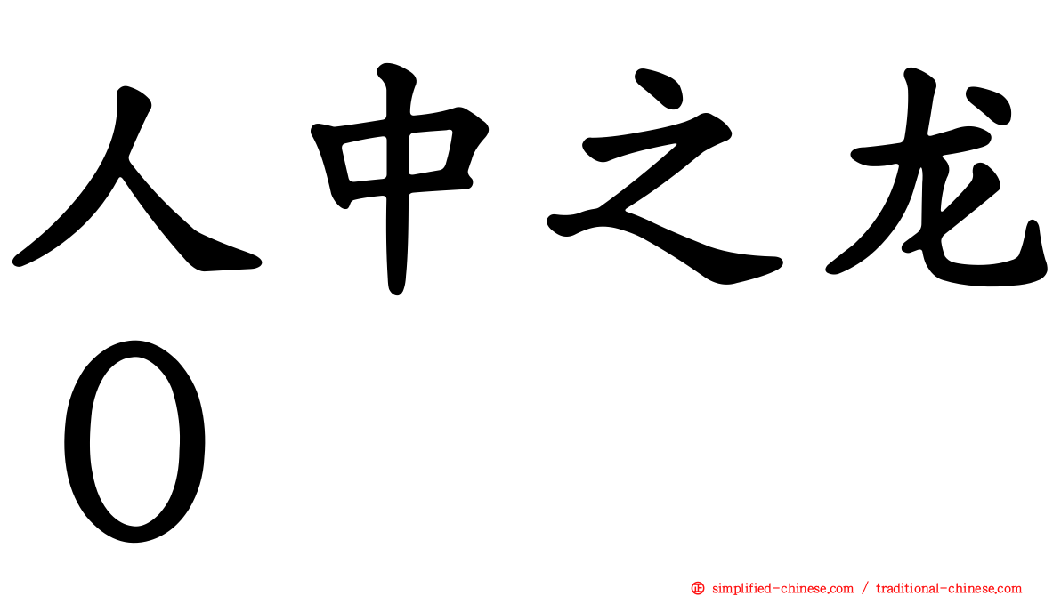 人中之龙０