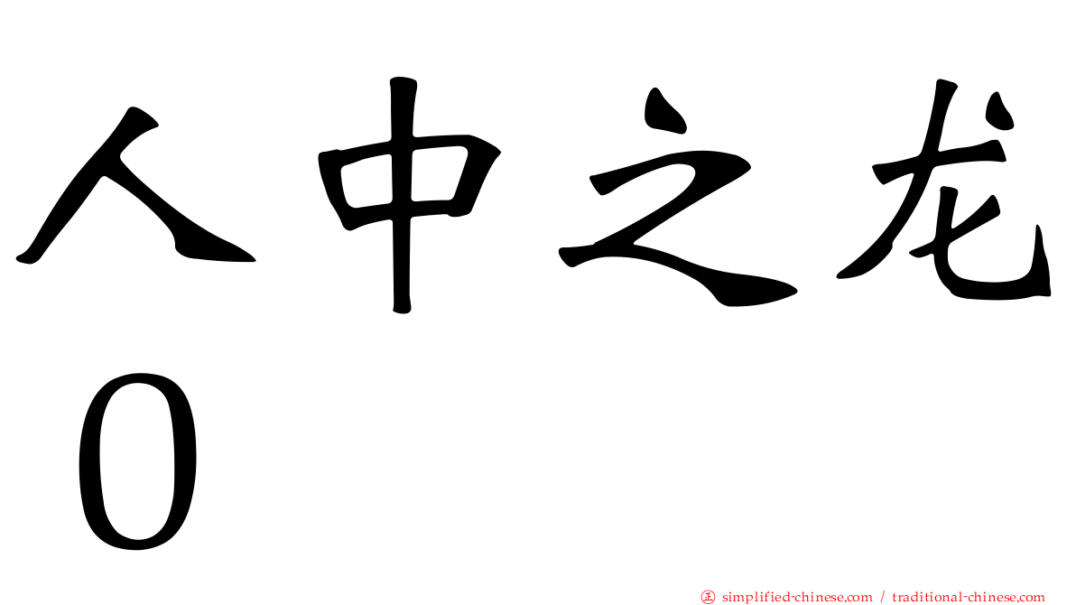 人中之龙０