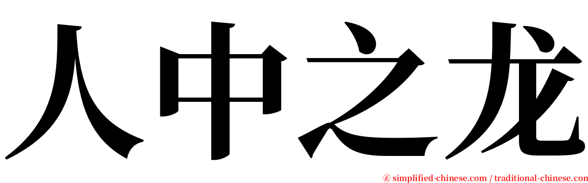 人中之龙 serif font