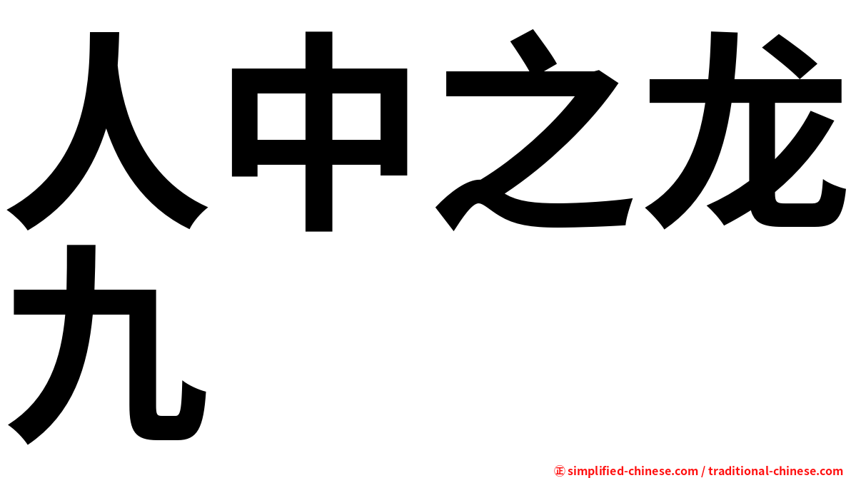 人中之龙九