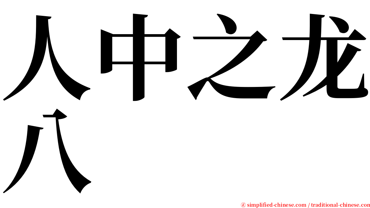 人中之龙八 serif font