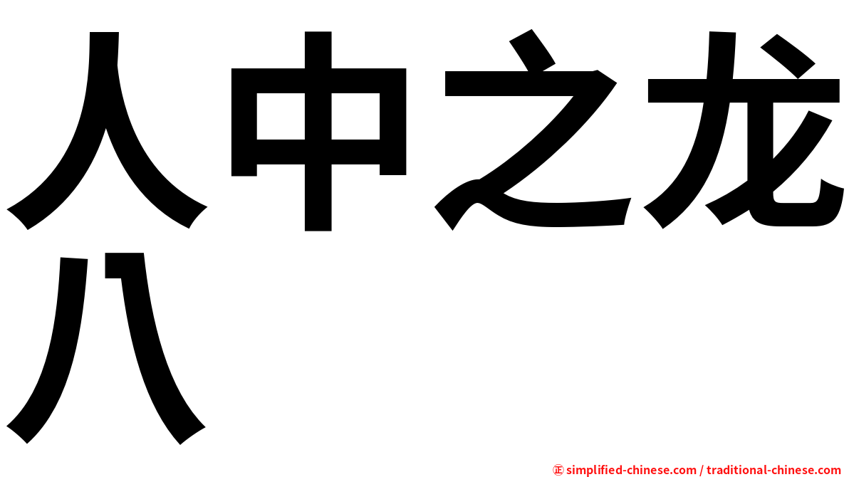 人中之龙八