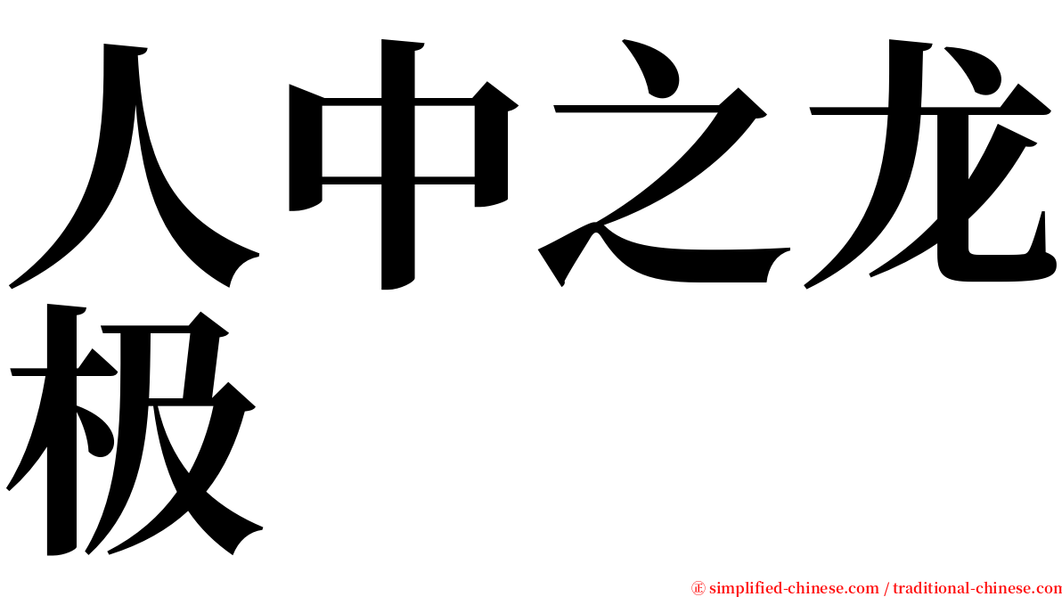 人中之龙极 serif font