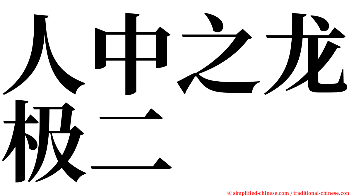 人中之龙极二 serif font