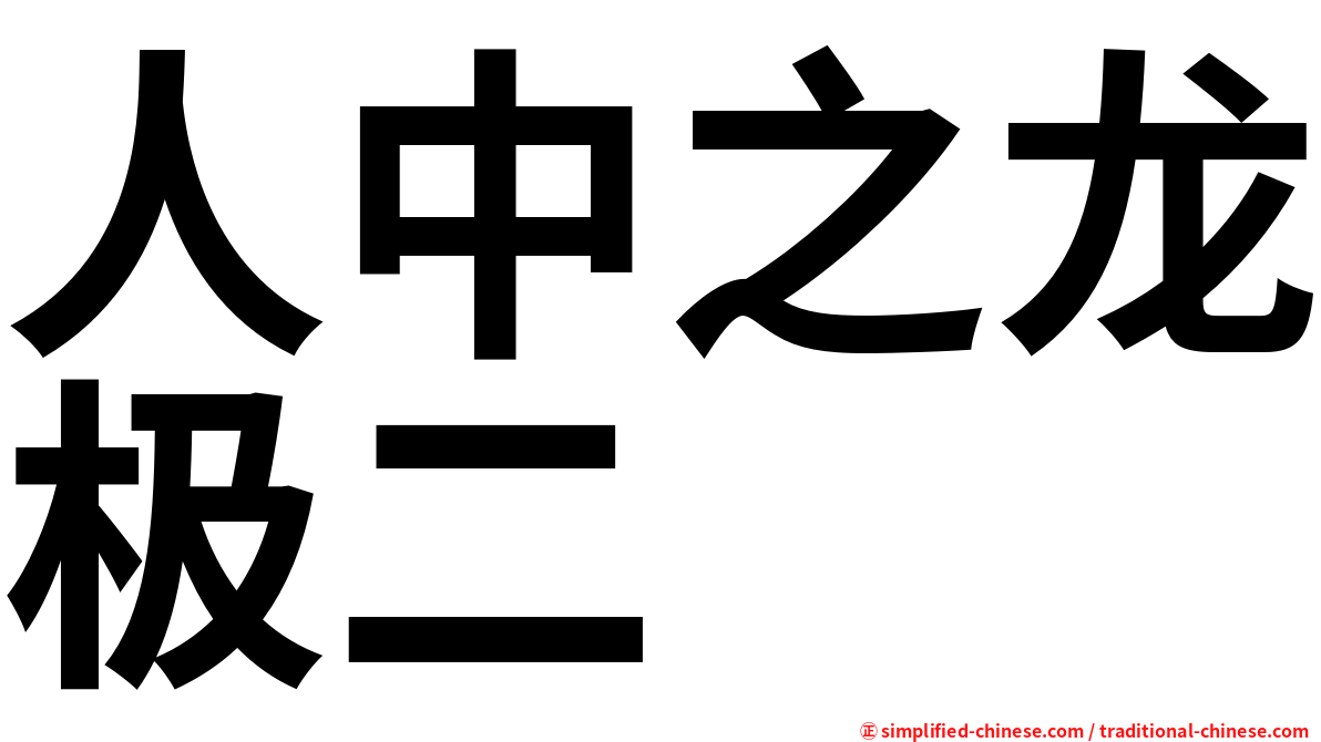 人中之龙极二