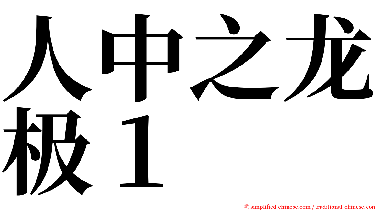 人中之龙极１ serif font