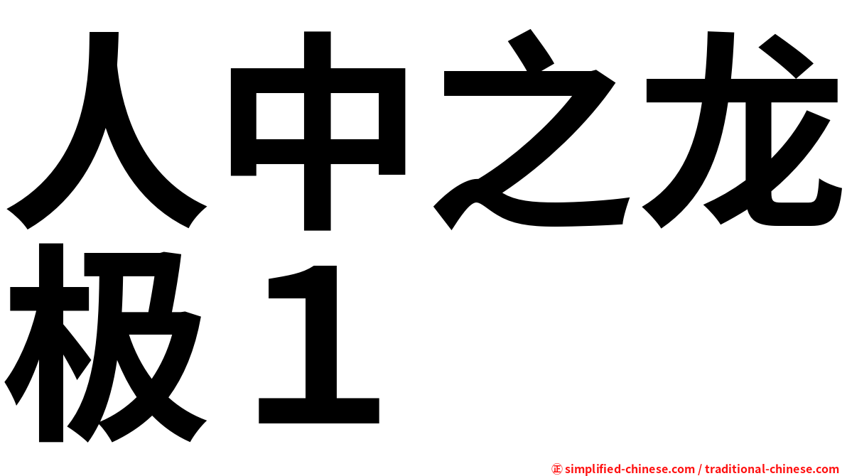 人中之龙极１