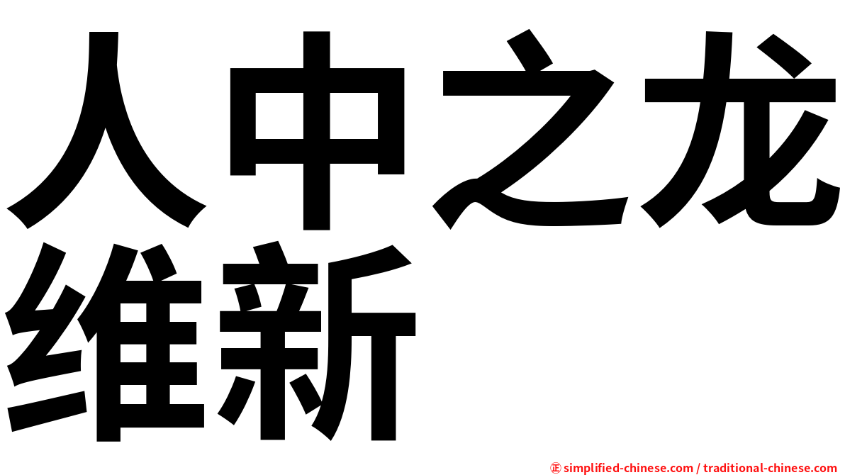 人中之龙维新