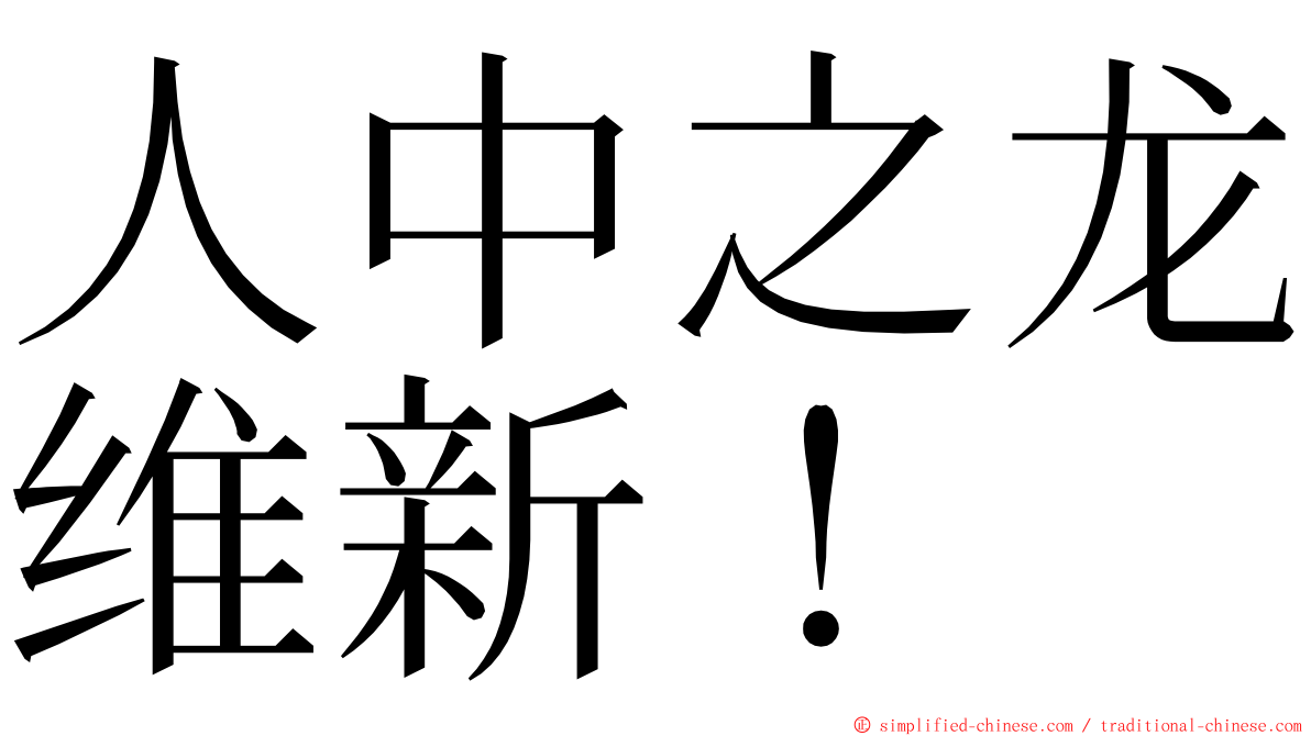 人中之龙维新！ ming font