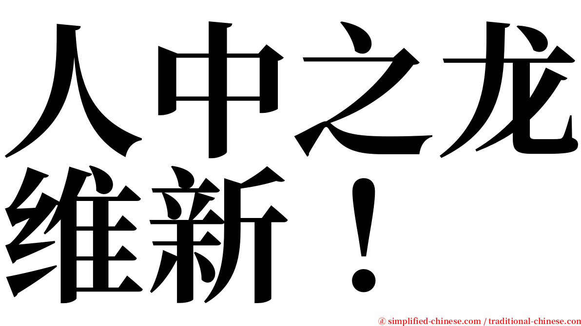 人中之龙维新！ serif font