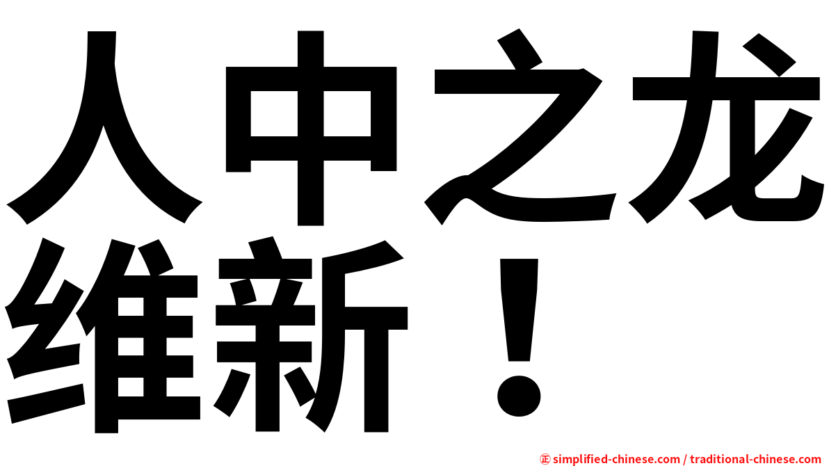 人中之龙维新！
