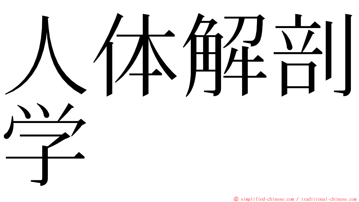 人体解剖学 ming font