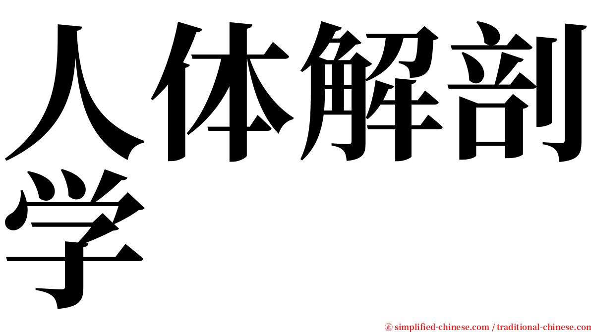 人体解剖学 serif font